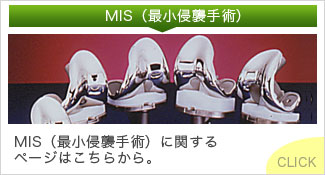 MIS�i�ŏ��N�P��p�j